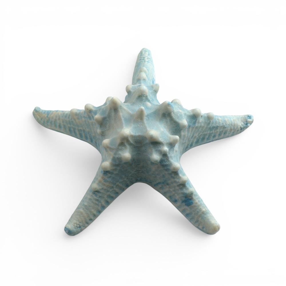STELLA MARINA 16X16X4CM BLUE
